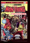Man-Thing #19 NM- (9.2)