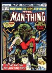 Man-Thing #22 NM- (9.2)