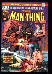 Man-Thing #6 VF/NM (9.0)