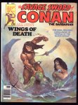 Savage Sword of Conan Magazine #19 F+ (6.5)