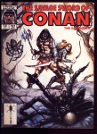 Savage Sword of Conan Magazine #161 VF (8.0)