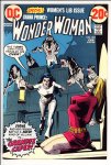 Wonder Woman #203 VF (8.0)
